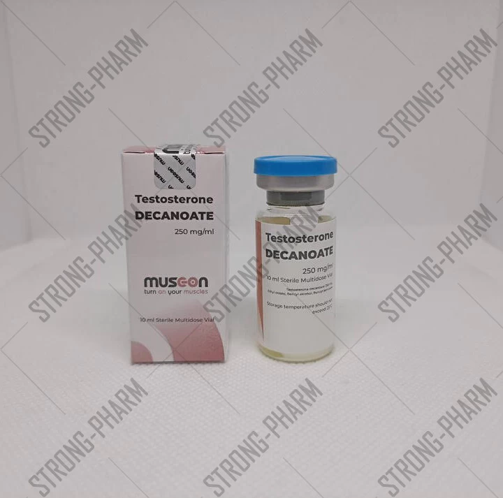 Testosterone Decanoate MUSC-ON 250 мг/мл 10 мл