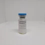 Testosterone Decanoate MUSC-ON 250 мг/мл 10 мл